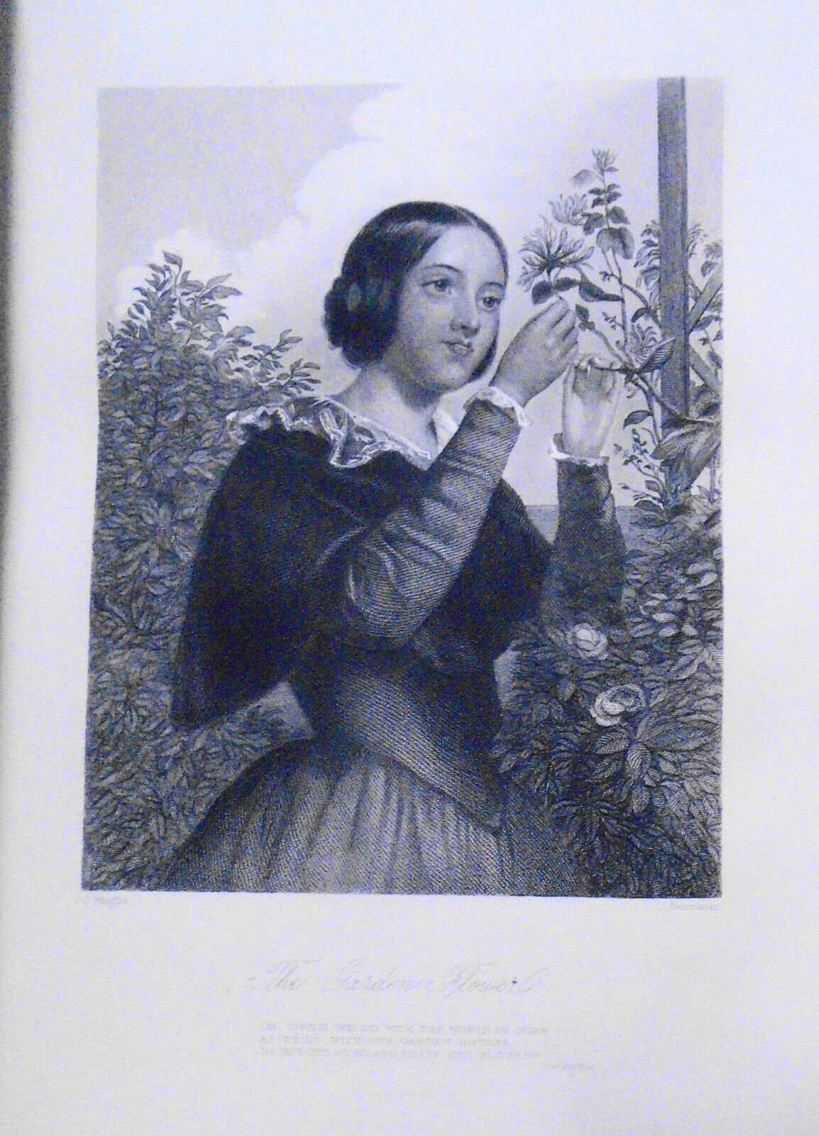 The poetical works of Thomas Moore. A new collated edition [185-?]. Illustrated