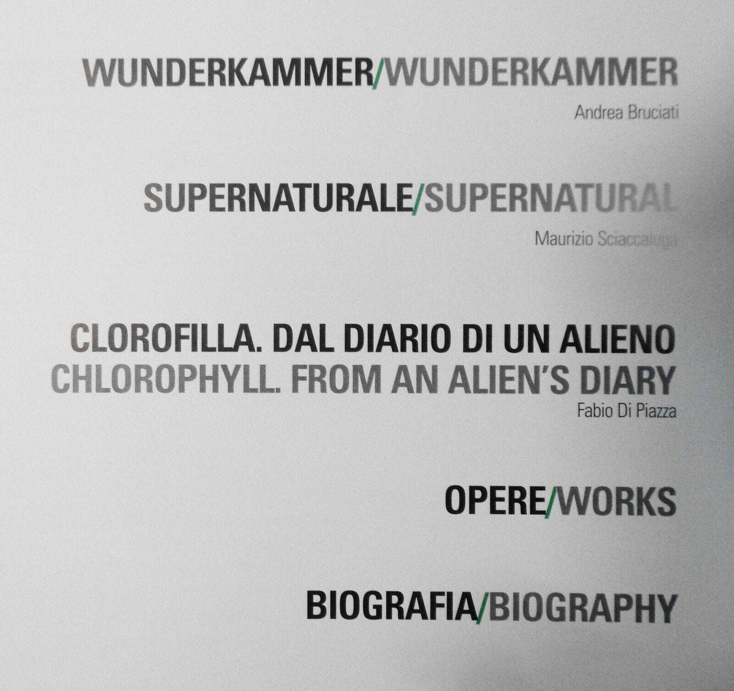 Fulvio Di Piazza: CLOROFILLA. Mantua, Bonelli Arte Contemporanea, 2006 Hardcover