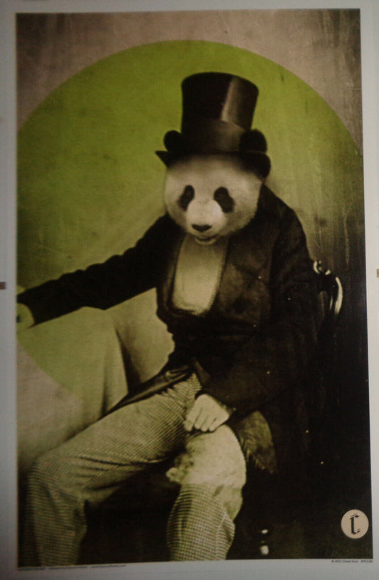 Proper Panda by Chase Kunz  Window card Poster - 17 x 11 inches