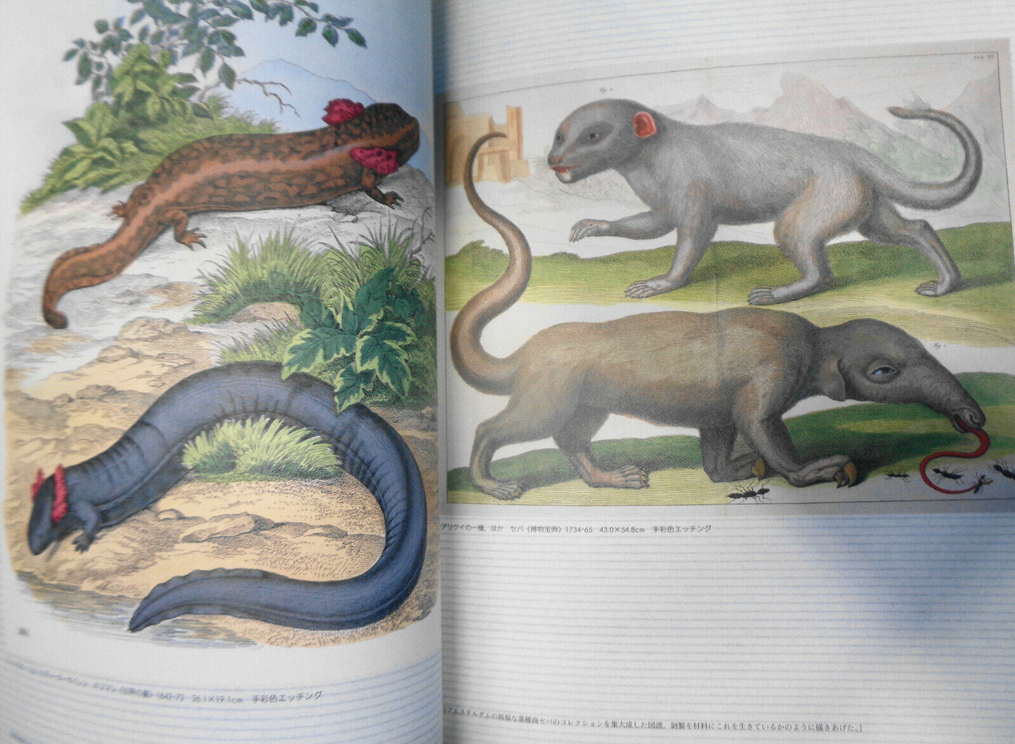 21st Century Prints Magazine - August 1992 -  Judy Dater, Shuji Wako