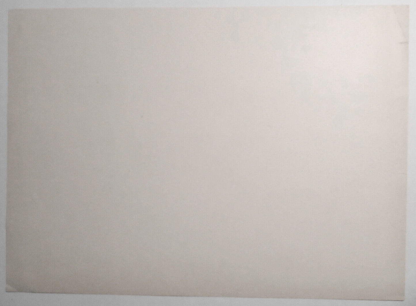 1882 Lumber and Coal Yard of Geo. B. Roe, Flushing New York - Willets Lithograph