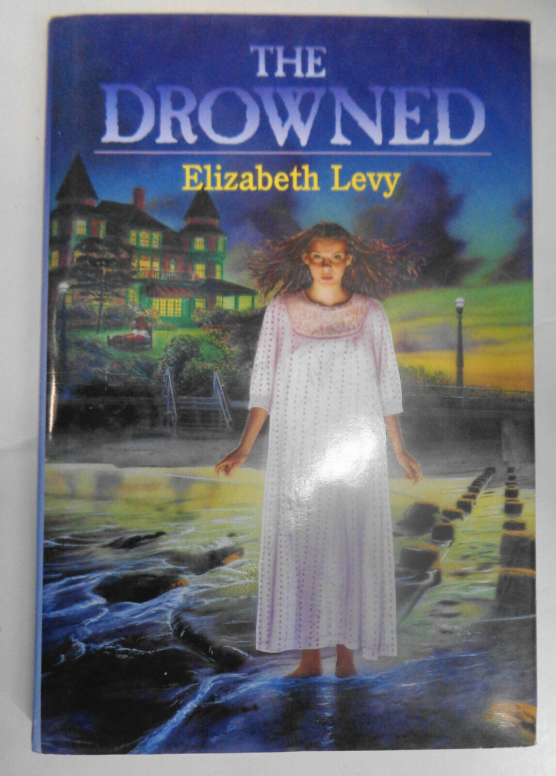 The Drowned [Signed] by Elizabeth Levy. Jacket by Steadman Fine/Fine 1st ed 1995