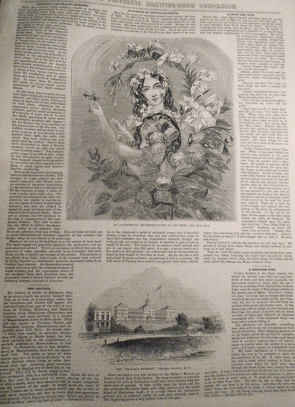 Gleason's Pictorial - Complete Original Issue - May 8, 1852. Baltimore Cemetery.
