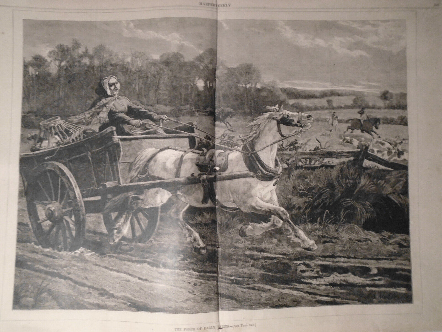 Harper's Weekly July 14, 1877 - Original - The "Fourth" In Blackville, etc