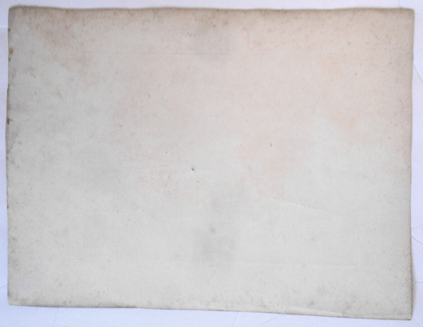 1807 Carrion Vulture, by William Daniell. Aquatint engraving.