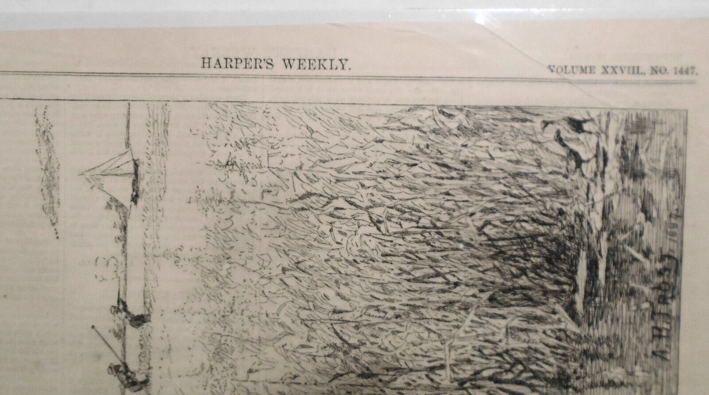 Rail Shooting, by A. B. Frost - Harper's Weekly, September 18, 1884. Original