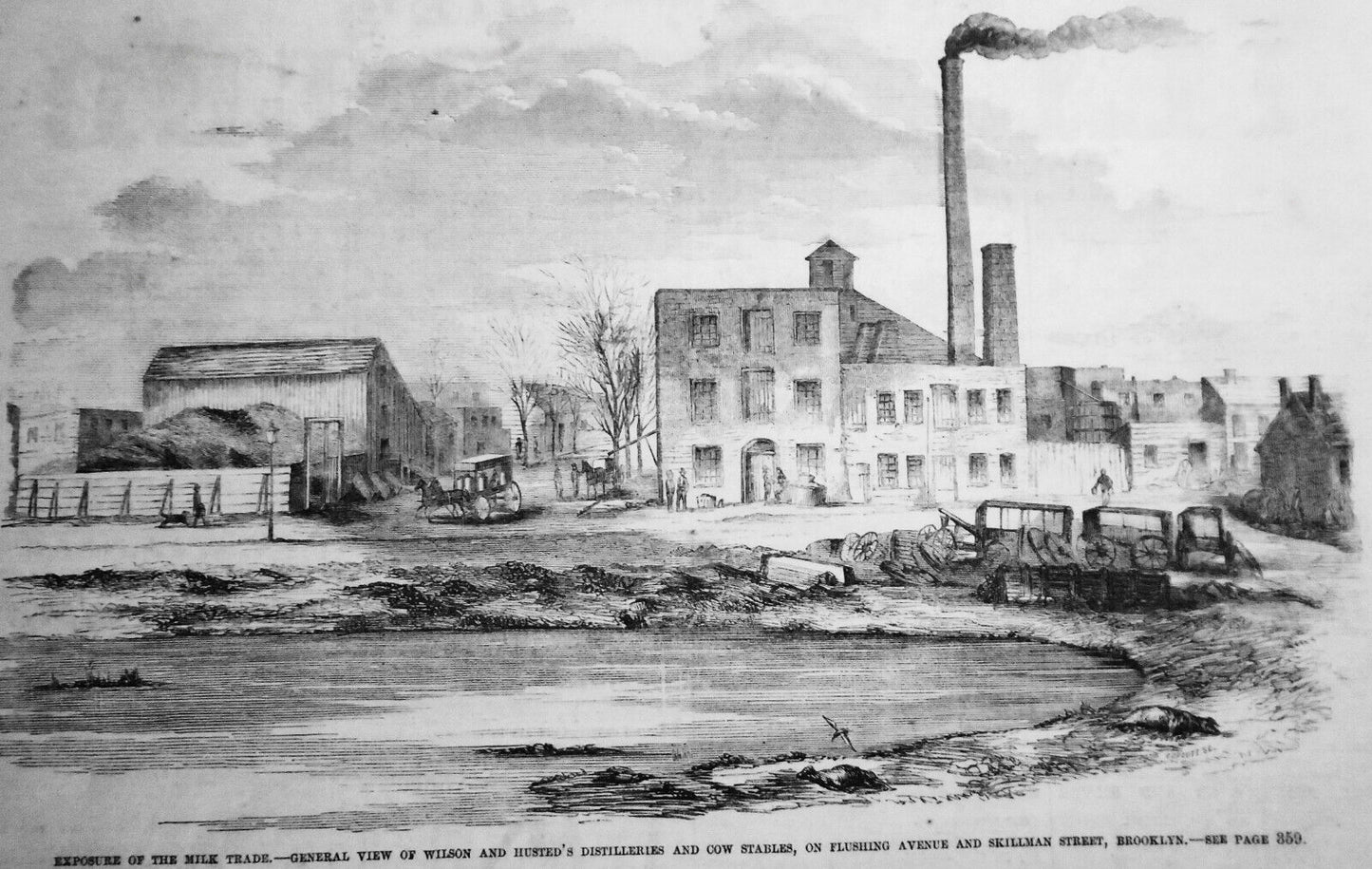 Exposure Of The Milk Trade - Husted's Distilleries And Cow Stables - 1858