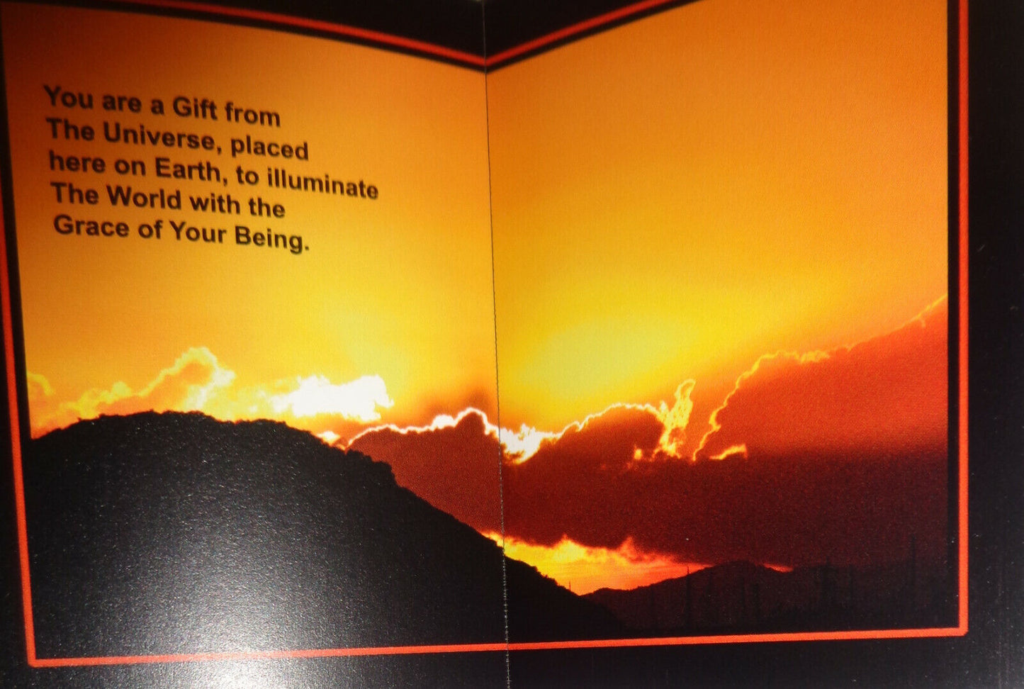 The Art Of Being Magnificent, by Diane Ward. 2007