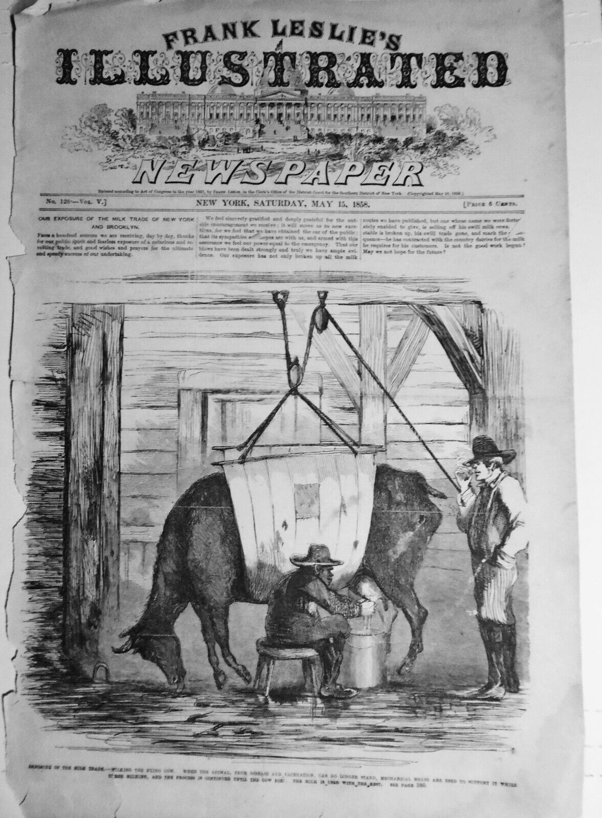 Exposure Of The Milk Trade - Milking The Dying Cow -  Frank Leslie's,  1858