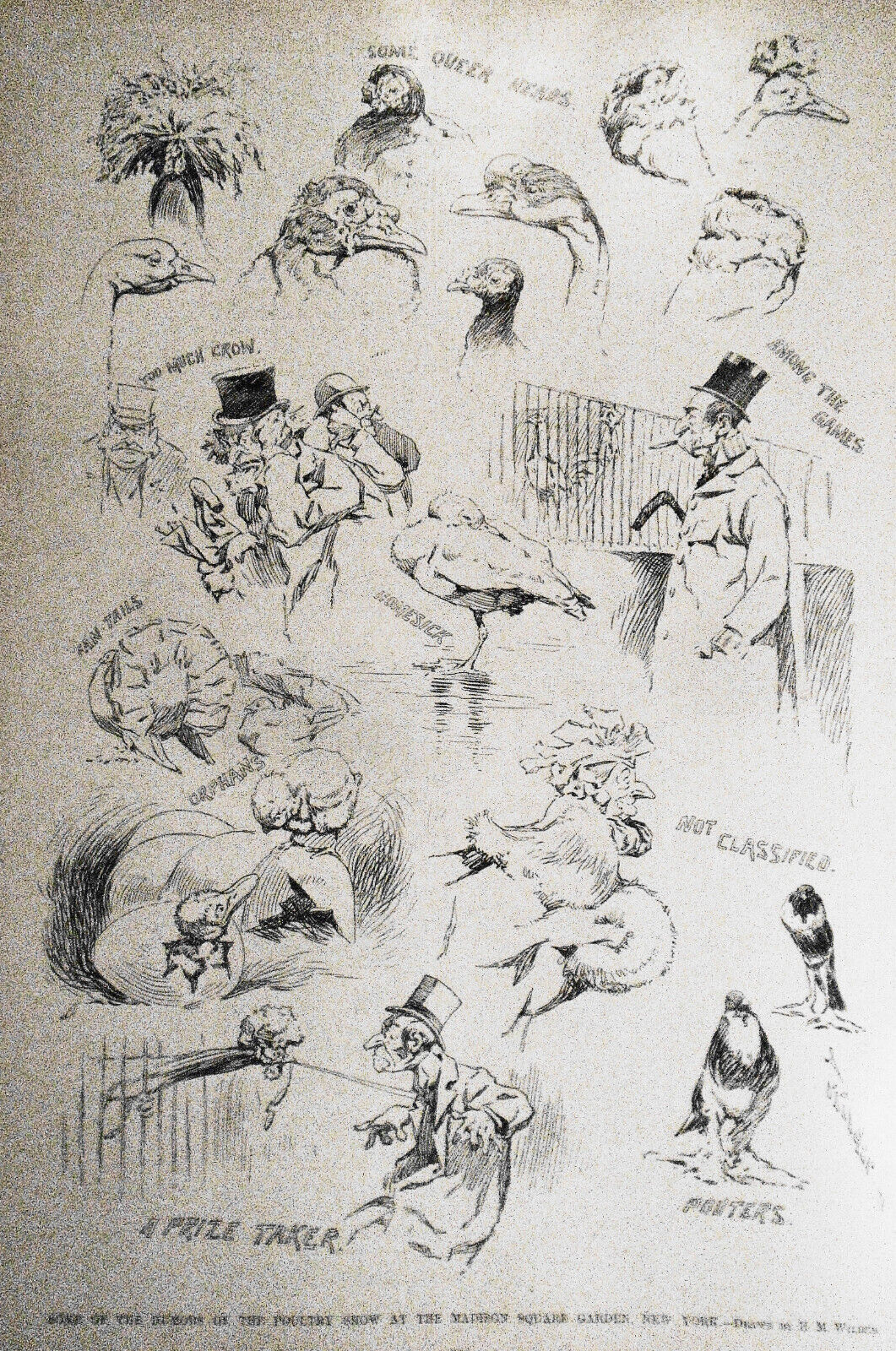 Sherlock Holmes, The Adventure of the Stock-Broker's Clerk, Harper's Weekly 1893