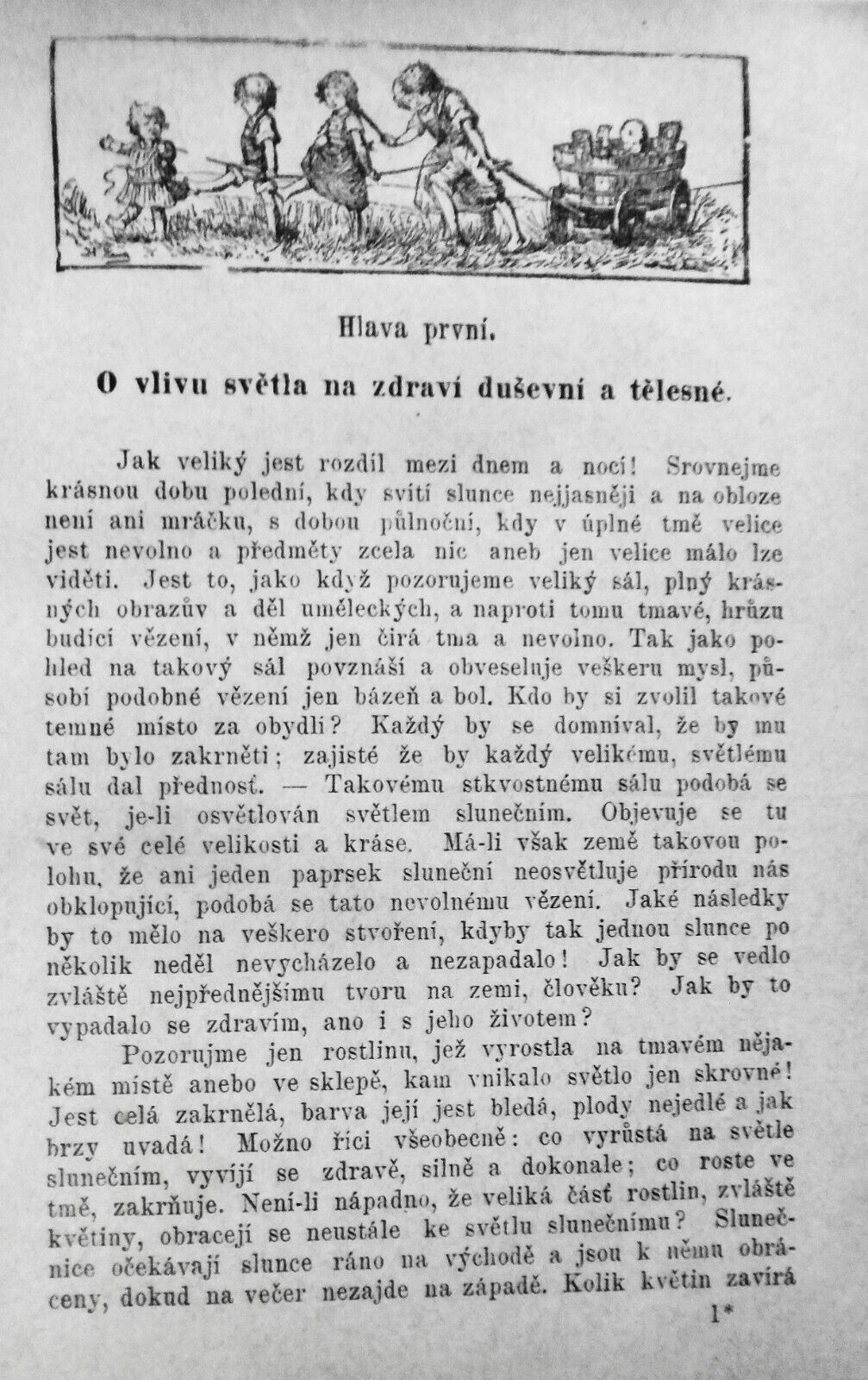 1893 Jak Ziti : Rady a pokyny zdravym i nemocnym, aby proste, rozumne zili ...