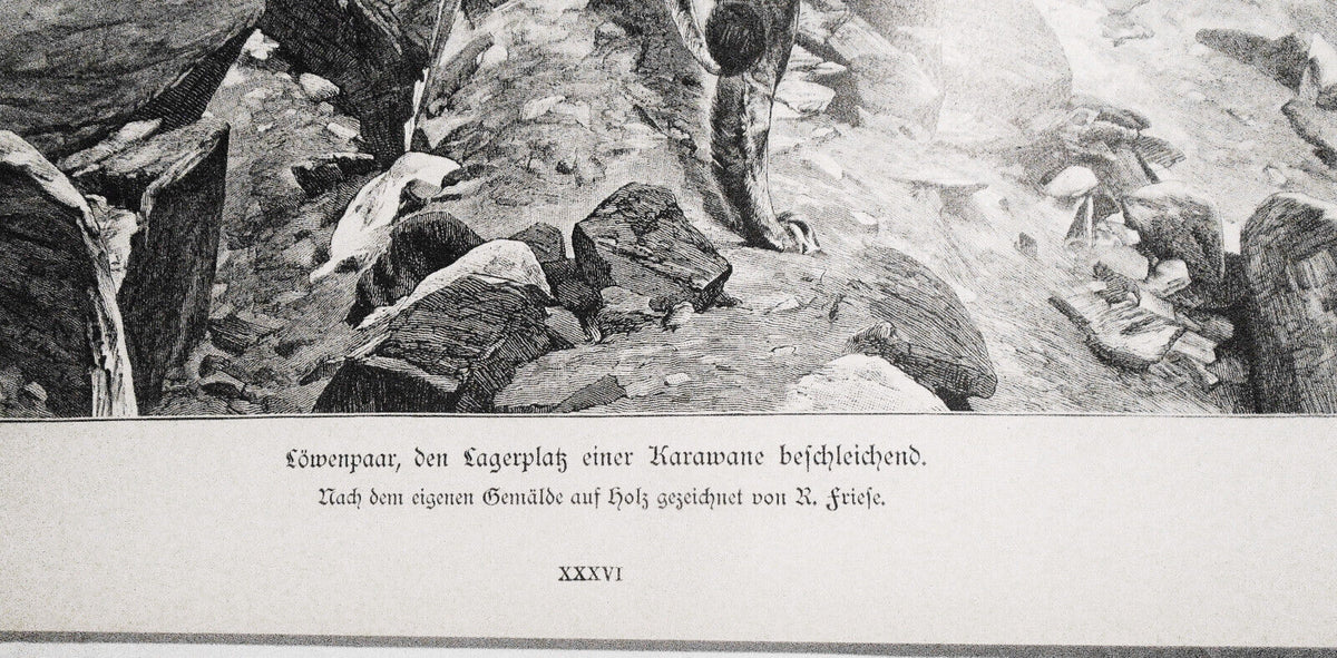 Löwenpaar, den Lagerplatz einer Karawane beschleichend --  1886