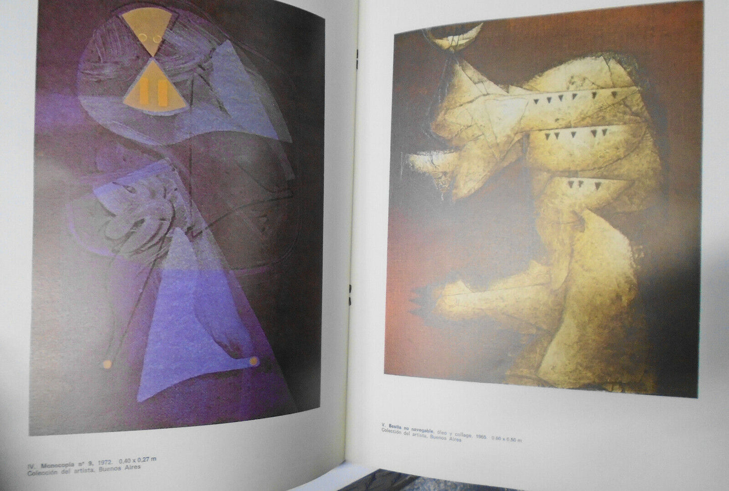 Chab :  Pintores Argentinos del Siglo XX, 63. 1981, by Cora Dukelsky