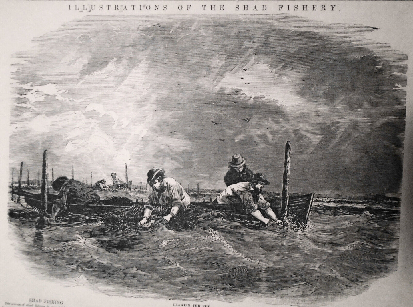 Shad Fishing On New York Bay; Shad Fishery - Illustrated News - April 9, 1853