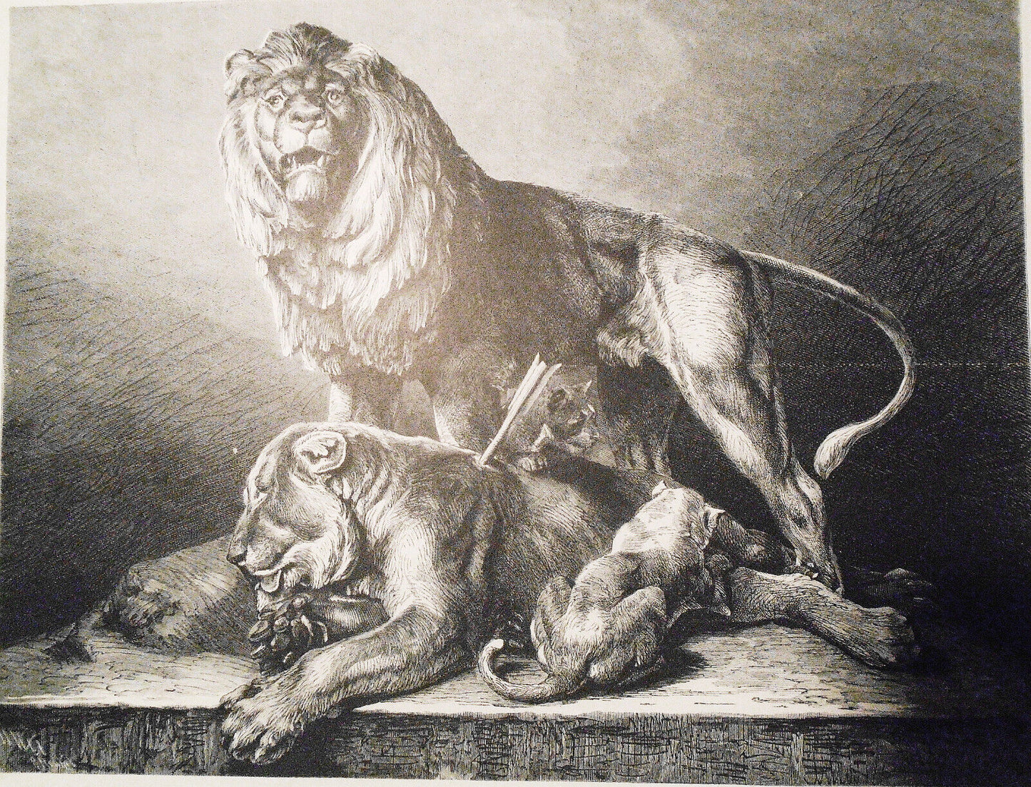 1882 Die Sterbende Lowin - Bronzegruppe von Wilhelm Wolff