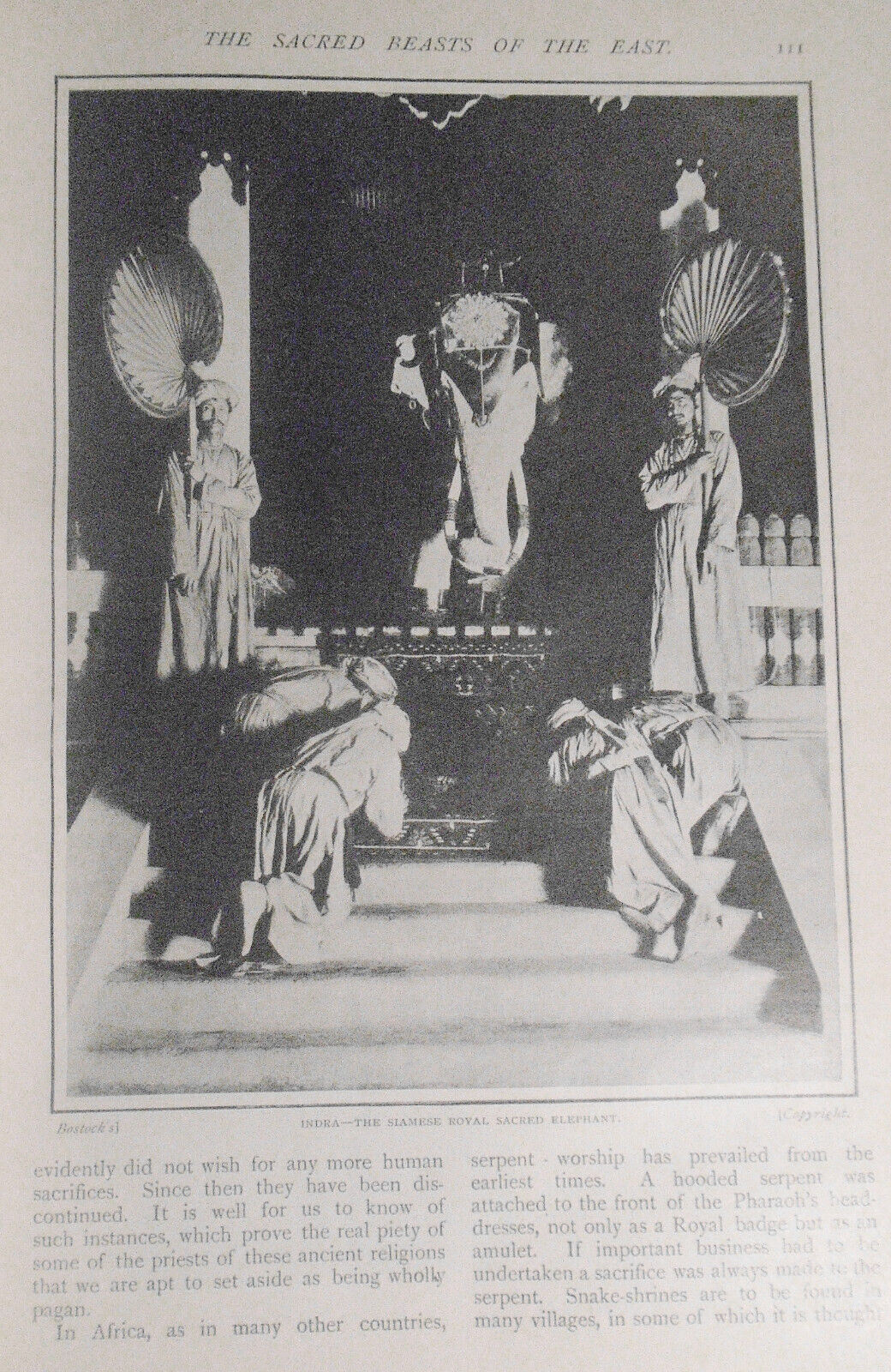 The Sunday Strand and Home magazine, July-Dec 1909.  Dr. Elizabeth Blackwell...