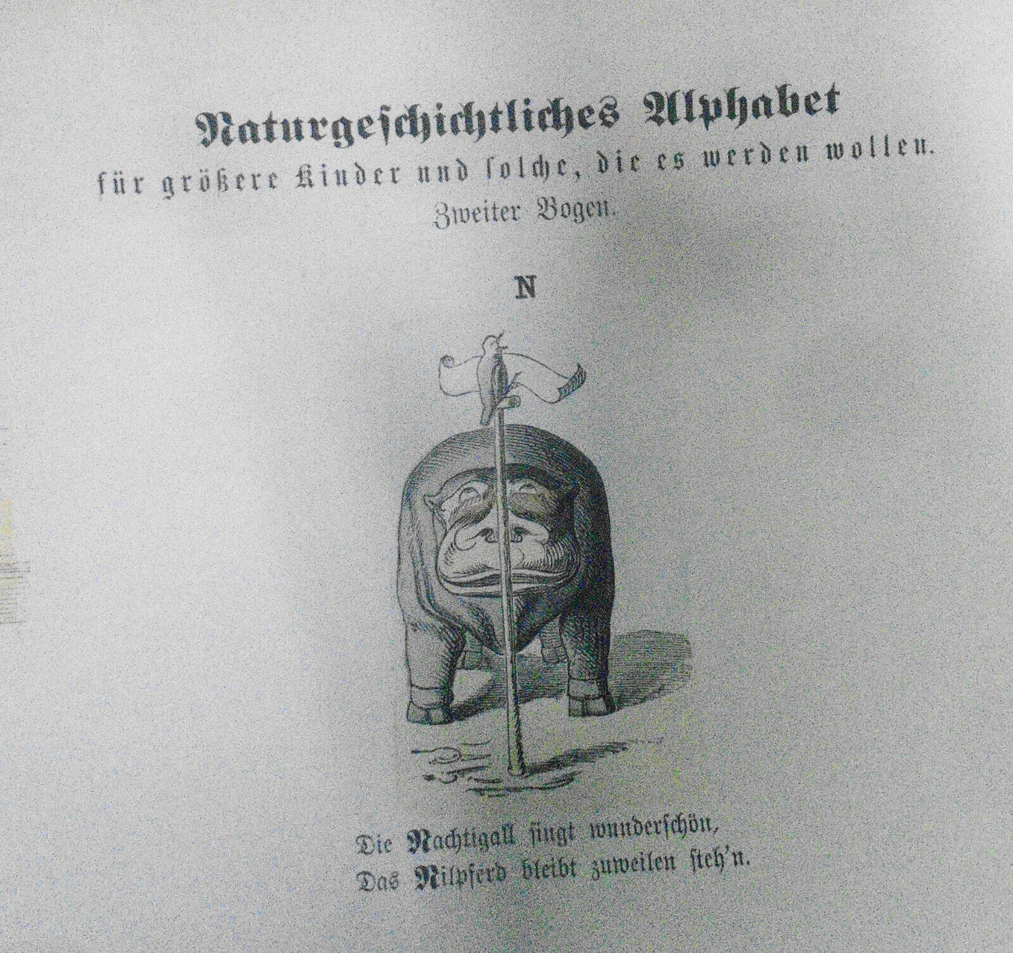 1890 Naturgeschichtliches Alphabet - Münchener Bilderbogen N. 406; Wilhelm Busch