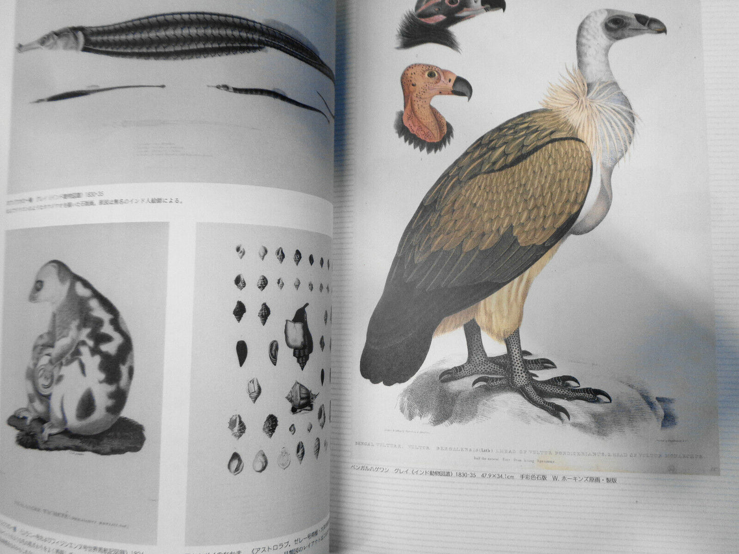 21st Century Prints Magazine - August 1992 -  Judy Dater, Shuji Wako