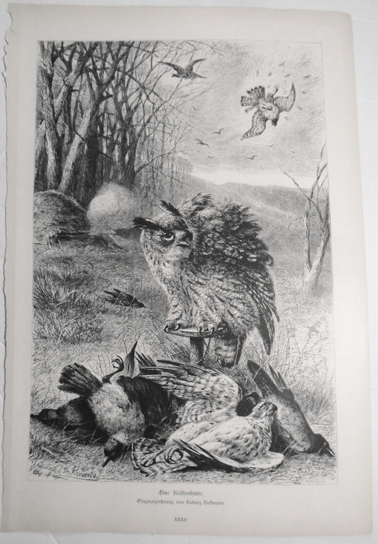 Ein Krahenhutte, by Ludwig Beckmann --  1886