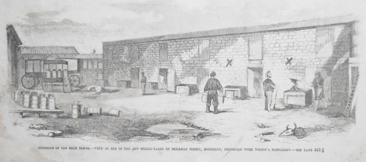 Exposure Of The Milk Trade - Husted's Distilleries And Cow Stables - 1858