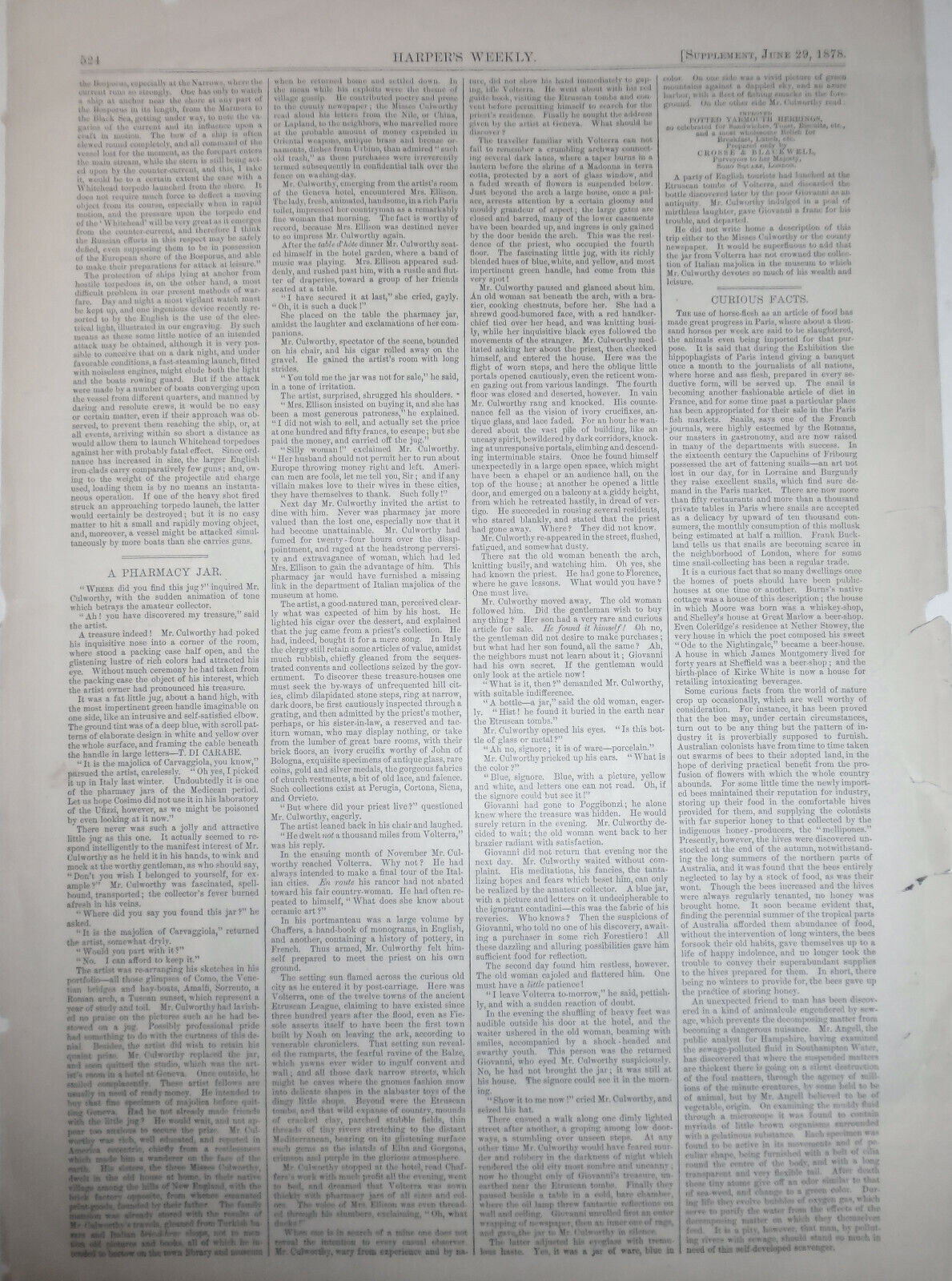 The British Fleet in the Sea of Marmora, , searching for Torpedo Boats-  HW 1882