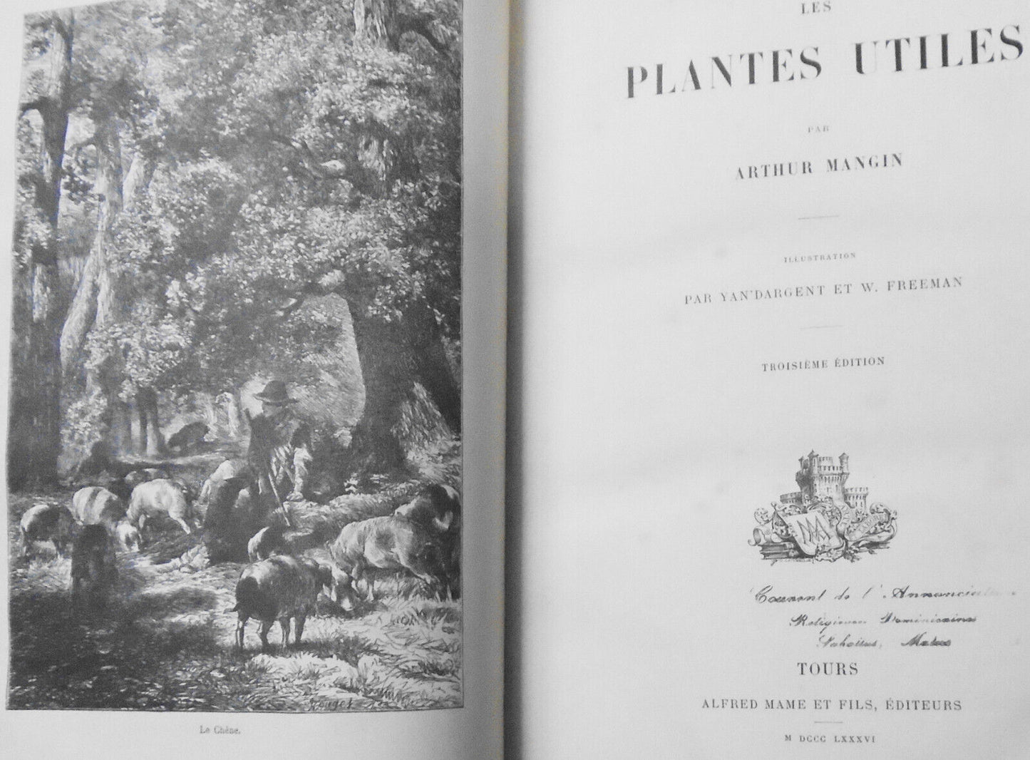 Les Plantes Utiles, by Arthur Mangin. 1886.