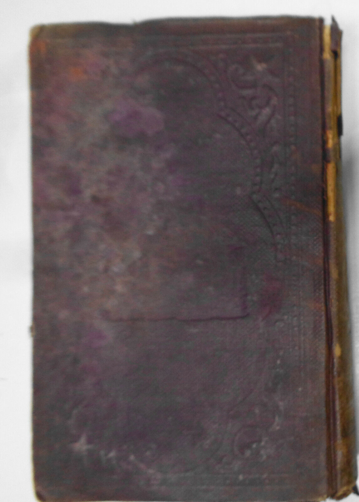 Report of the Commissioner of Patents for the year 1858 : agriculture.