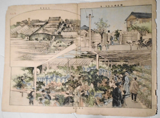 Antique Japanese print : Flower Beds