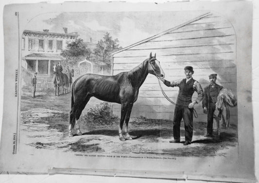 Dexter The Fastest Trotting Horse in the World. Harper's Weekly October 28, 1865