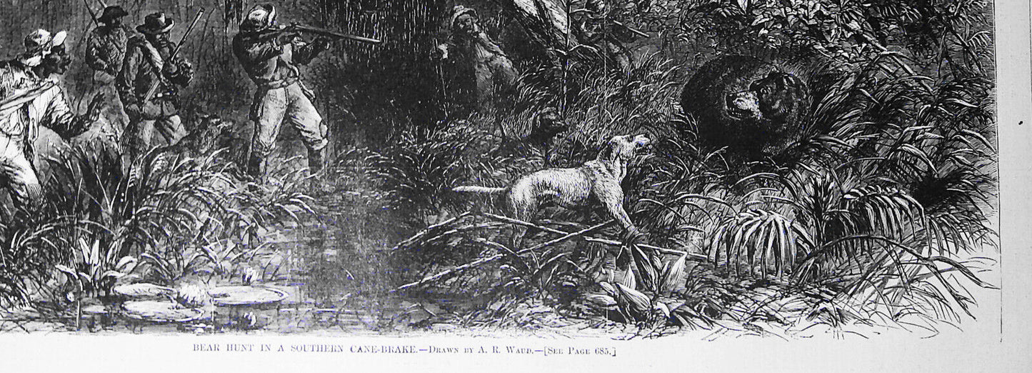 [African American] Bear Hunt in a Southern Cane-Brake, by A. R. Waud. H.W., 1870