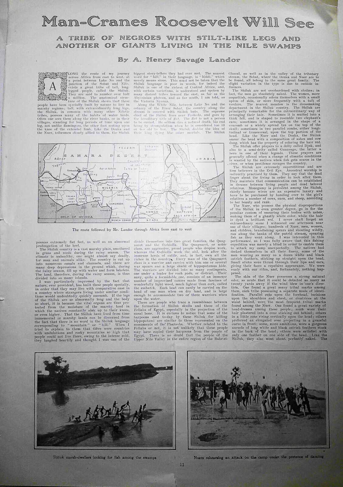 Shulik & Nuer - Man-Cranes Roosevelt will see - Harper's Weekly, 1900 original