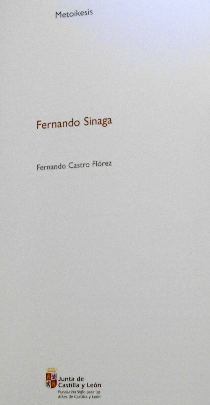 Fernando Sinaga - [editor y textos] Fernando Castro Florez. 2005