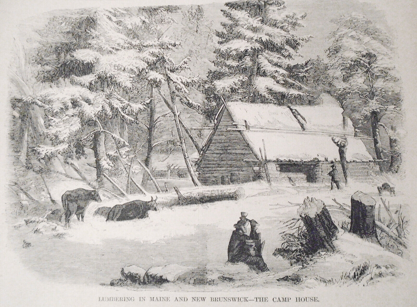 Lumbering in Maine, and New Brunswick - Harper's Weekly 1858 - 3 prints & story