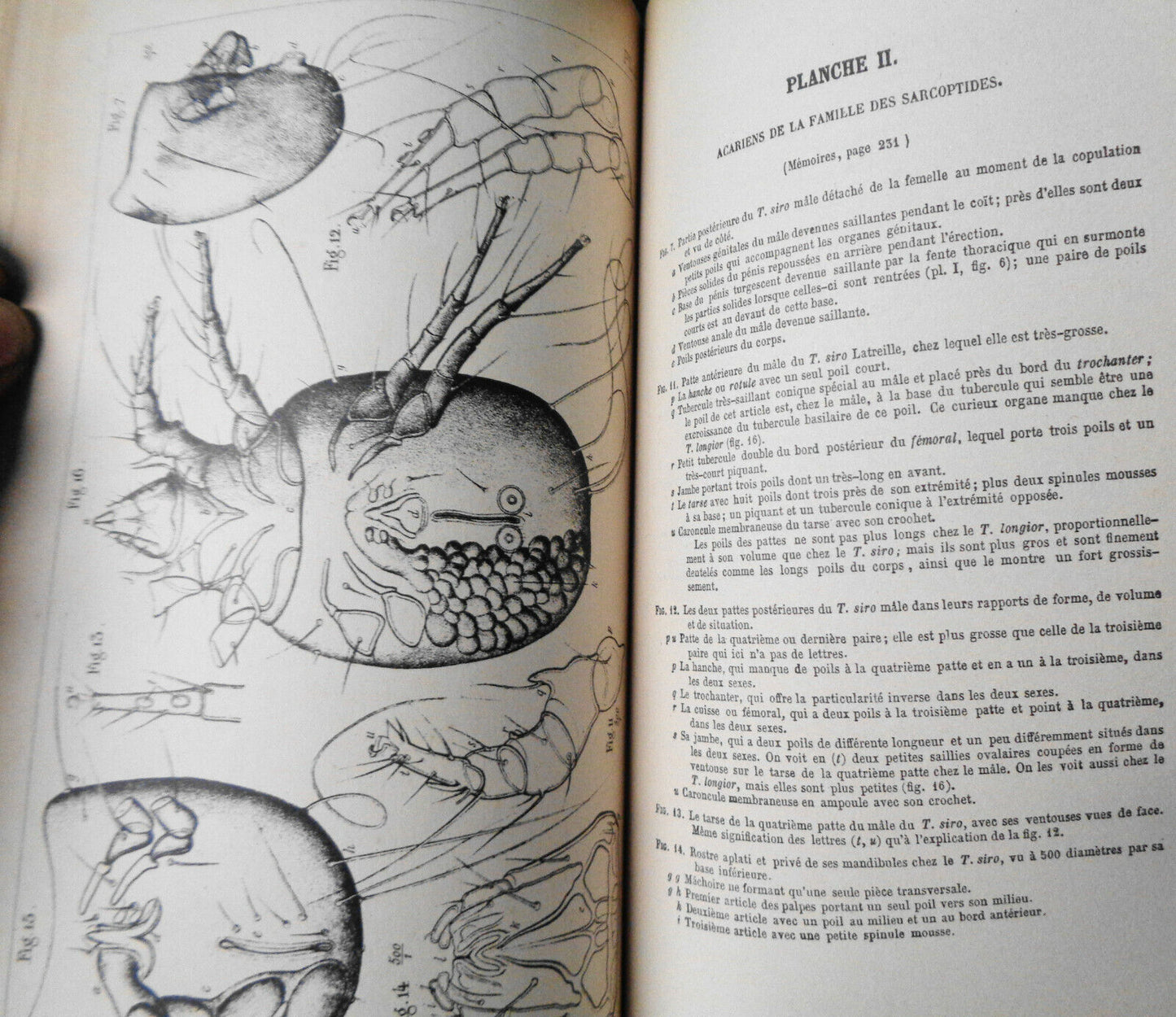 1861 COMPTES RENDUS DES SEANCES ET MEMOIRES DE LA SOCIETE DE BIOLOGIE Ser 3 T3