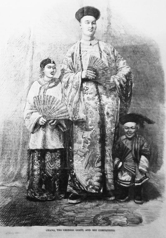 Chang, the Chinese giant, and his companions  - Harper's Weekly, 1865 original