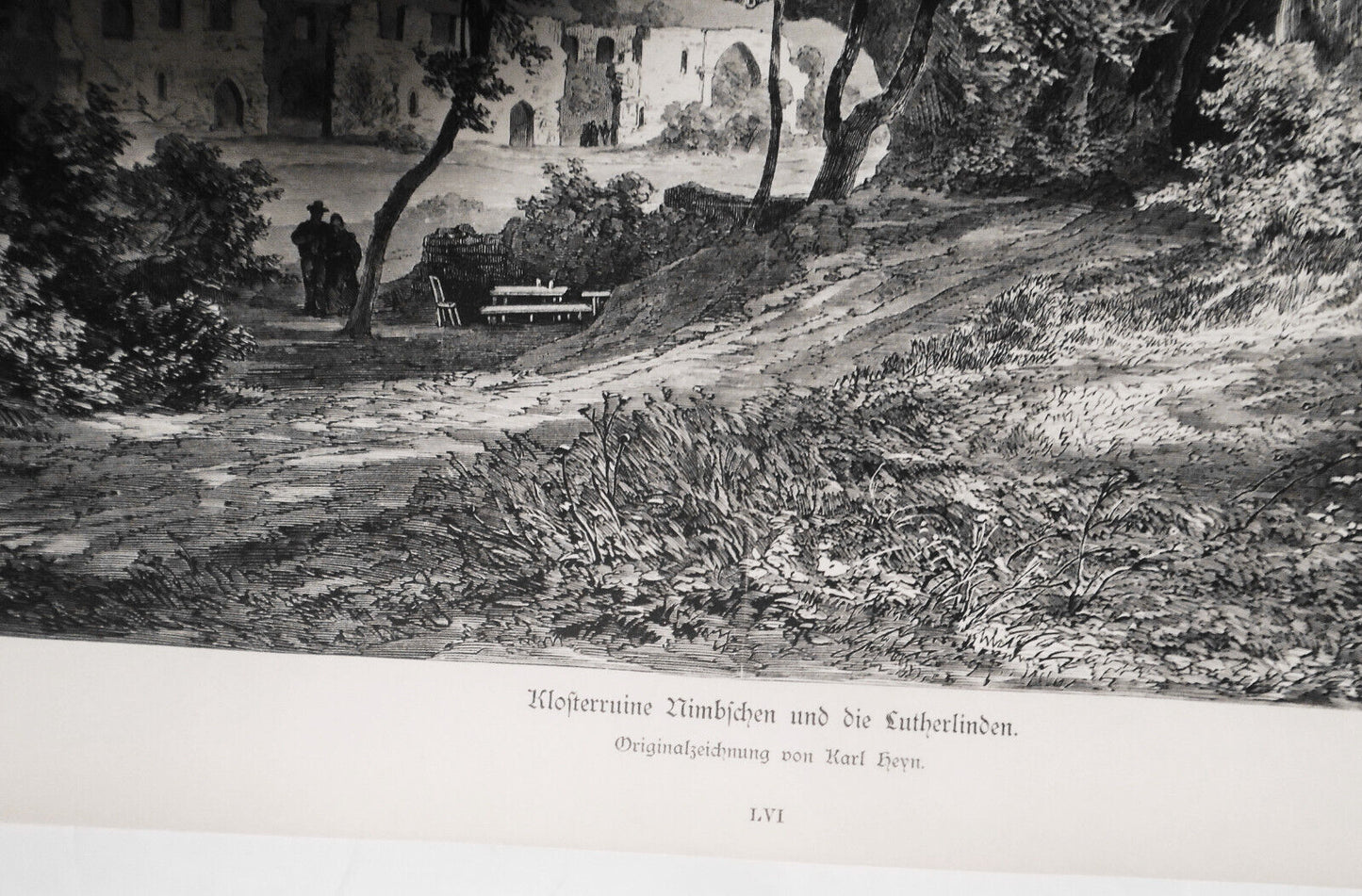 1882 Klosterruine Nimbschen und die Lutherlinden Originalseichnung von Karl Heyn