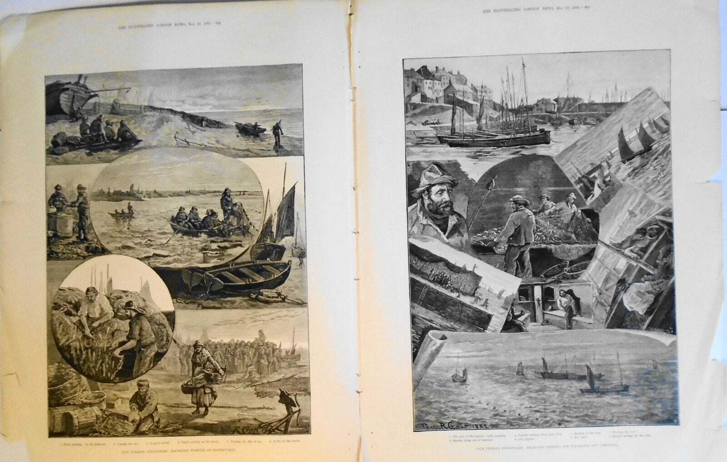1883  Fishing Industries: Yarmouth Herring/ Int'l Exhibition -many prints & plan