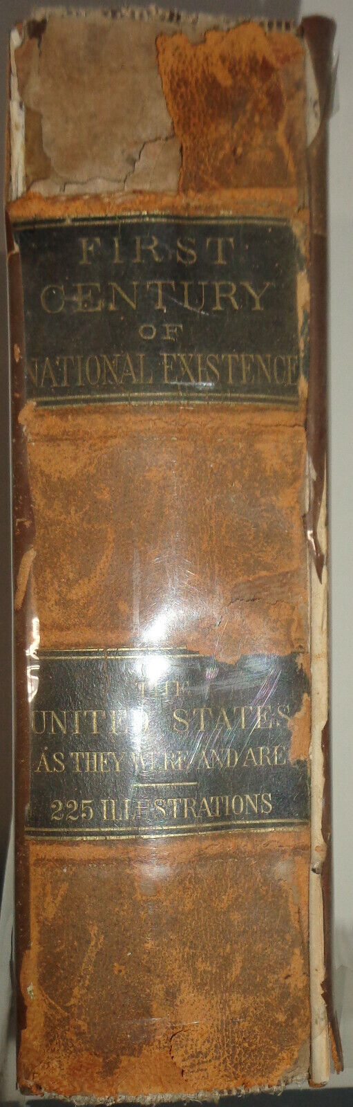 1873  First century of national existence... with over 225 engravings