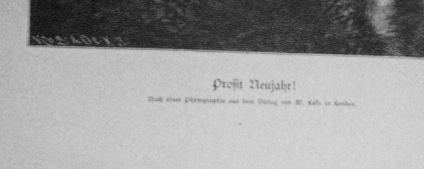 Profit Neujahr!  - 1886 original antique print - 16x11 inches