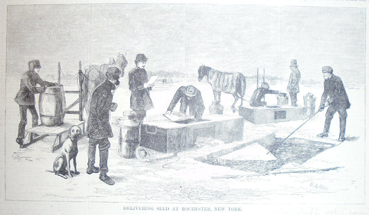 Delivering Seed At Rochester New York - Harper's Weekly, February 8, 1873