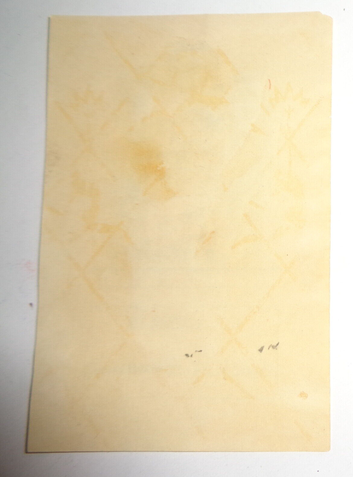 Sara N. Bauman - Ex Libris Bookplate - early 1900s