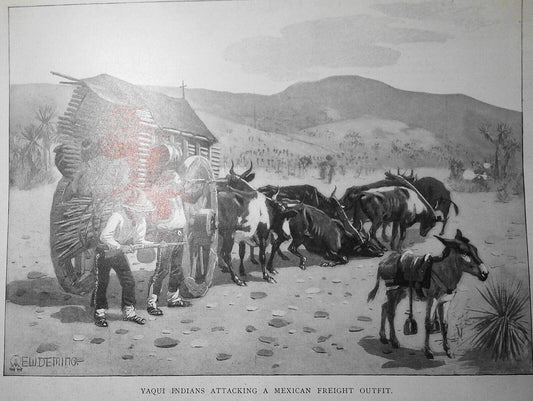 Yaqui Indians attacking a Mexican freight outfit - Harper's Weekly 1900 original