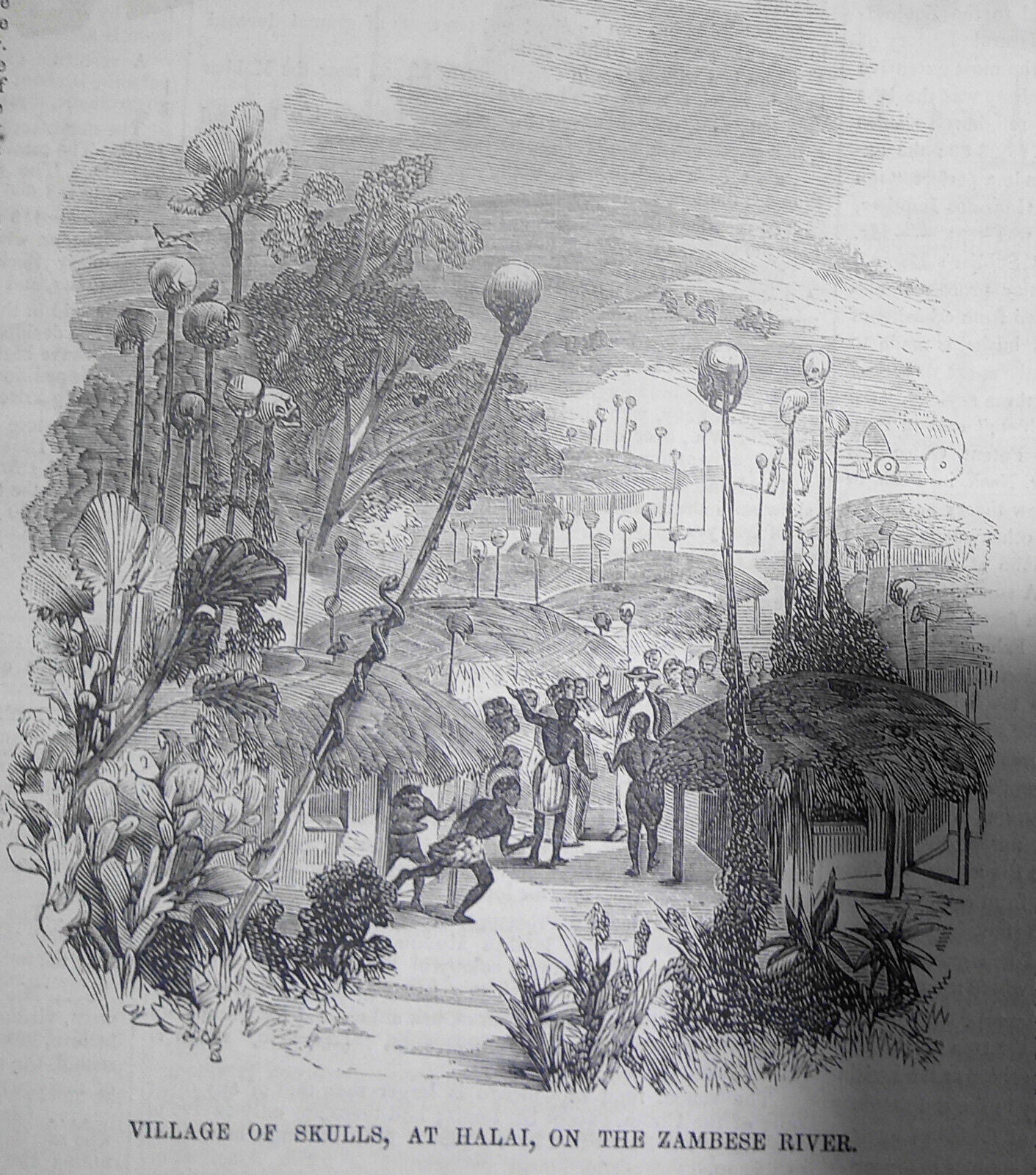 Village of Skulls & Royal Observatory, in South Africa - Ballou's Pictorial 1857