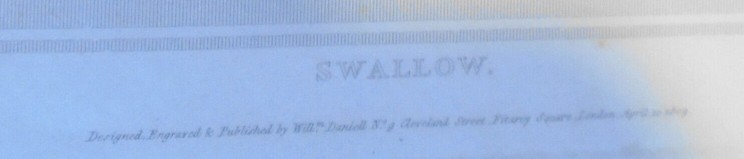 1809 Swallow, by William Daniell