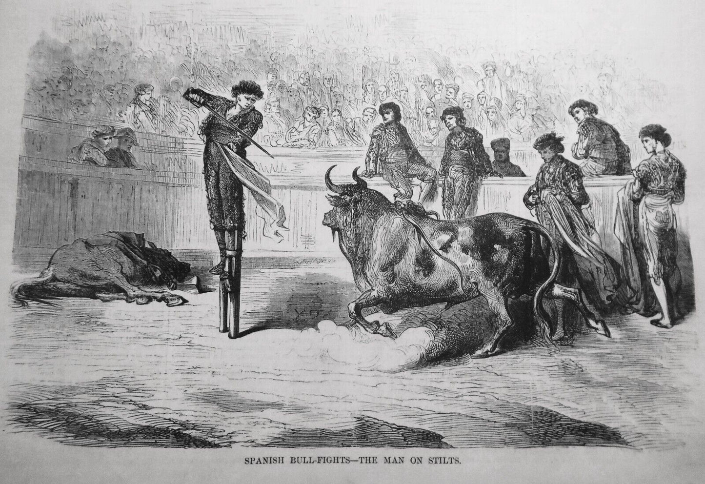 Spanish Bull-Fights: The Man on Stilts + Somersault on Horns - HW original print