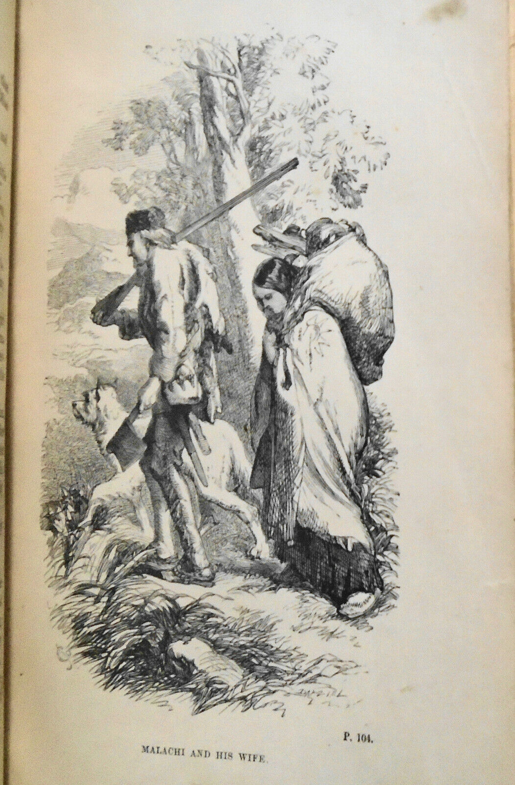 Captain Marryat : The settlers in Canada : written for young people - 1860