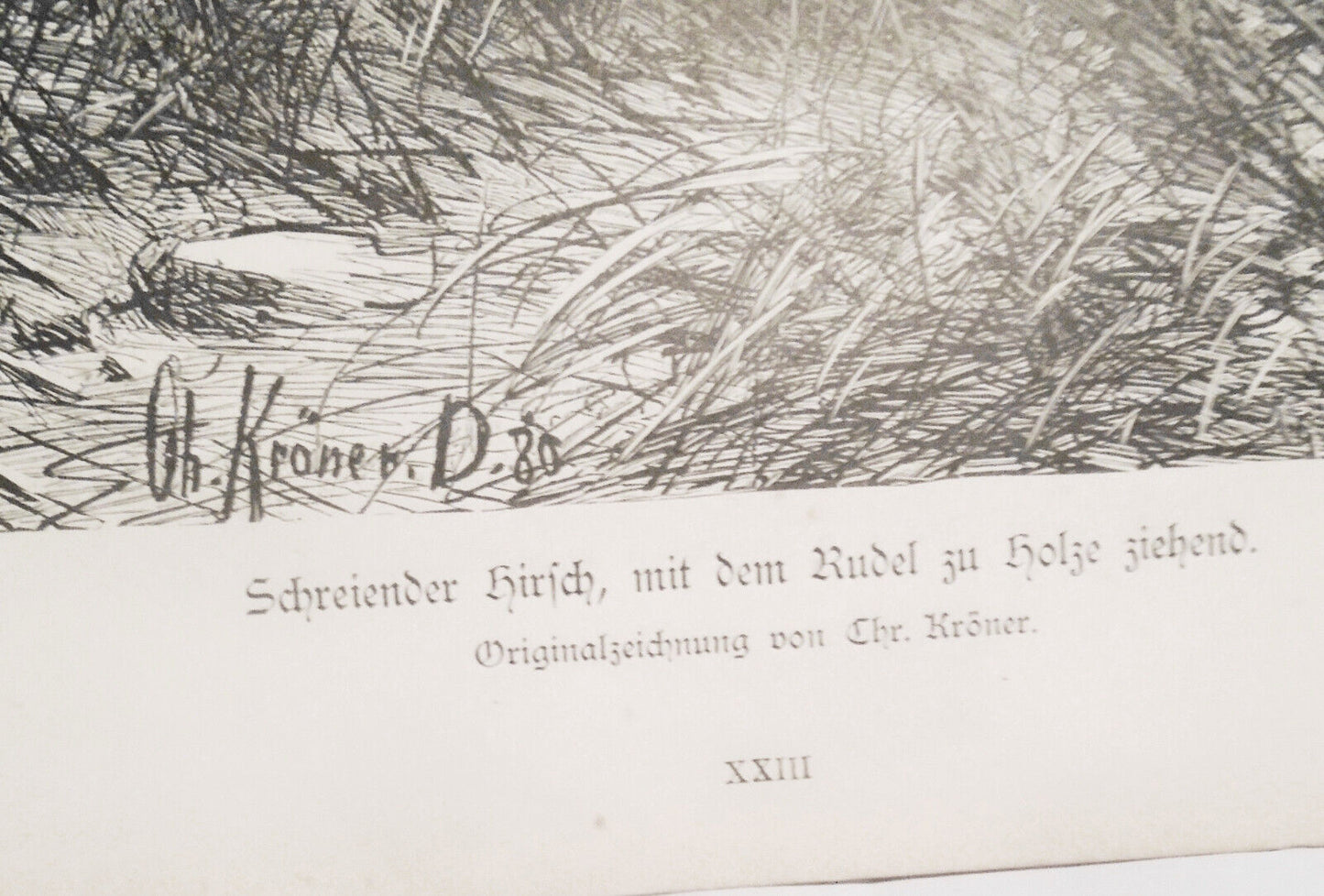 1882 Schreiender Hirsch, mit dem Rudel zu Holze ziehend - Chr. Kroner. Original