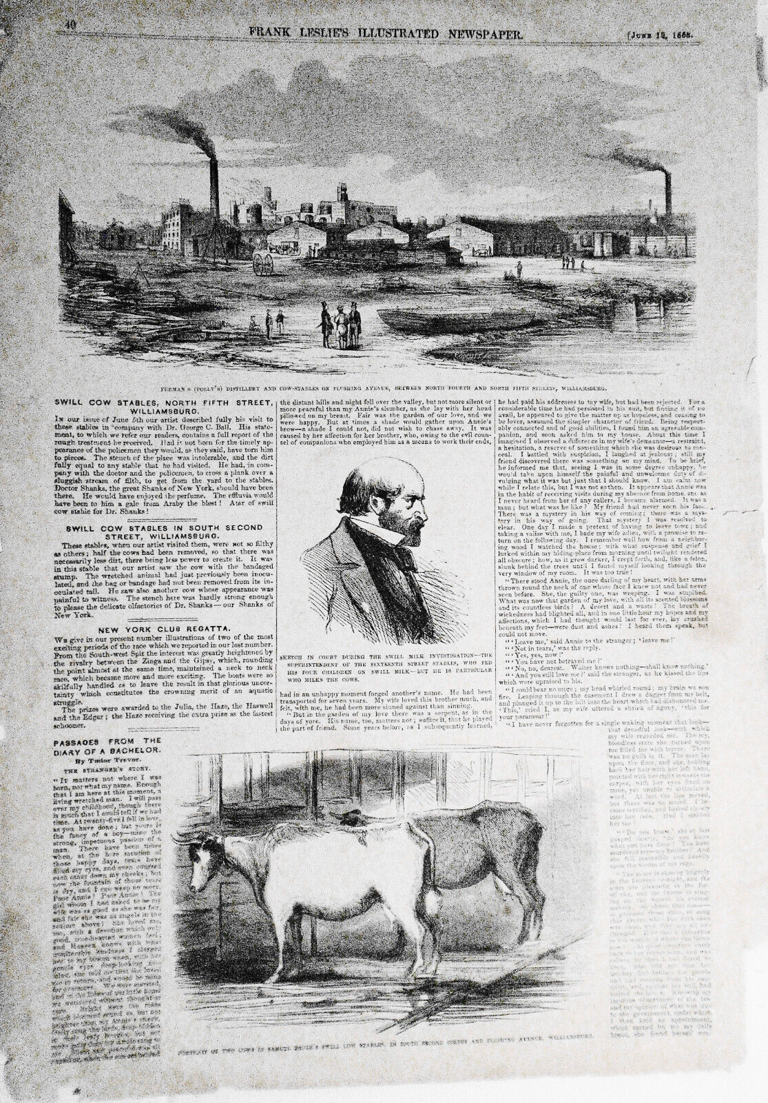 Swill Cow Stables, North Fifth Street Williamsburg - Frank Leslie's June 19,1858