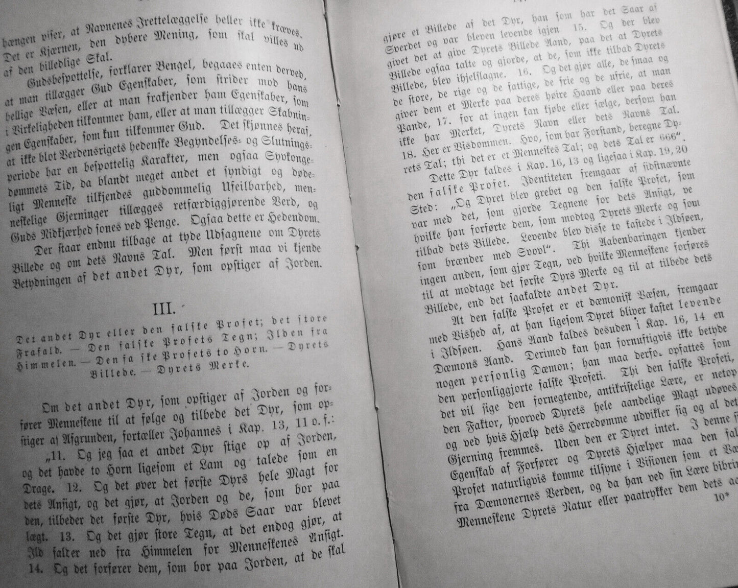 Dyret fra afgrunden i Johannes Aabenbaring, by C. Engelskjon. 1894 First Edition