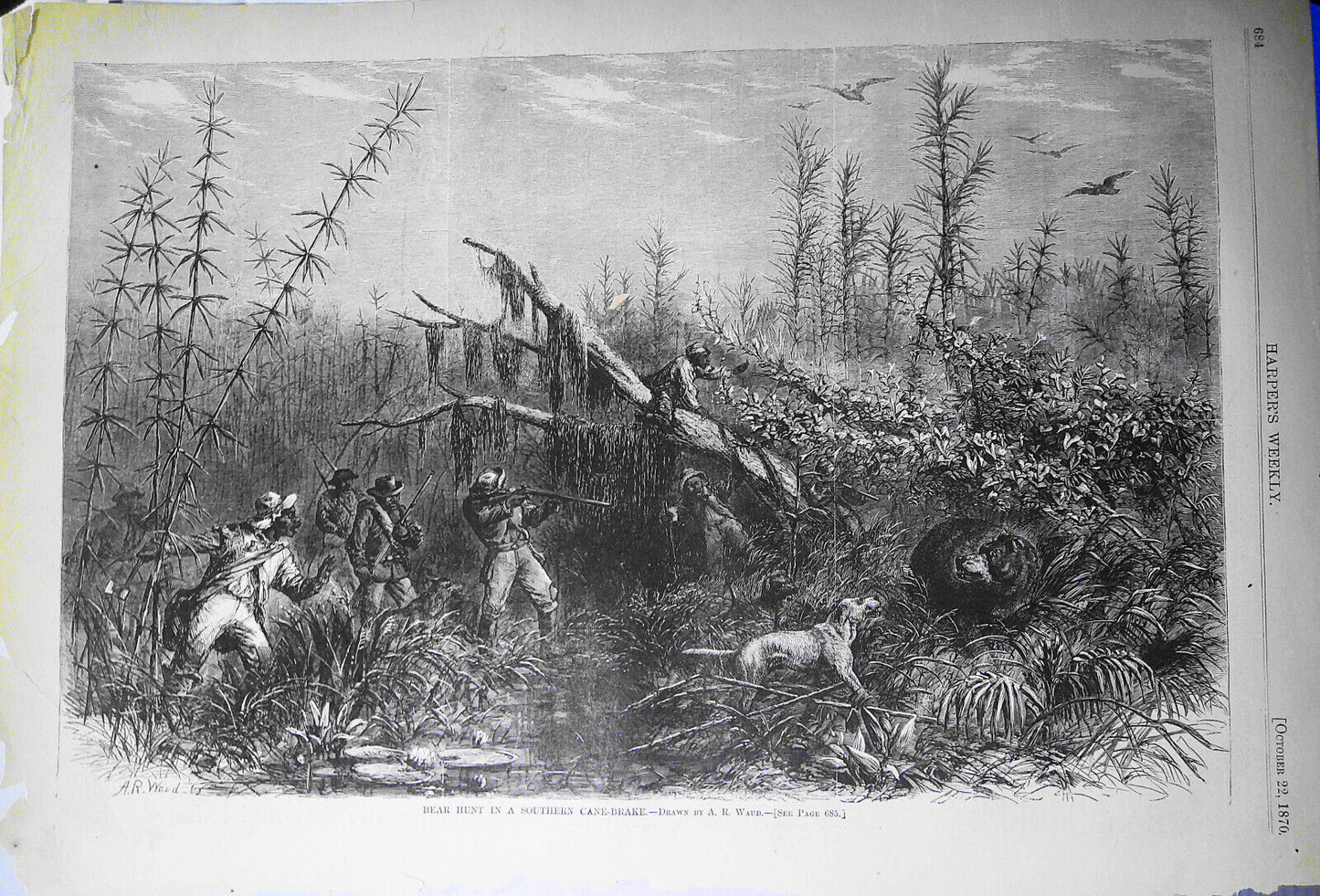 [African American] Bear Hunt in a Southern Cane-Brake, by A. R. Waud. H.W., 1870